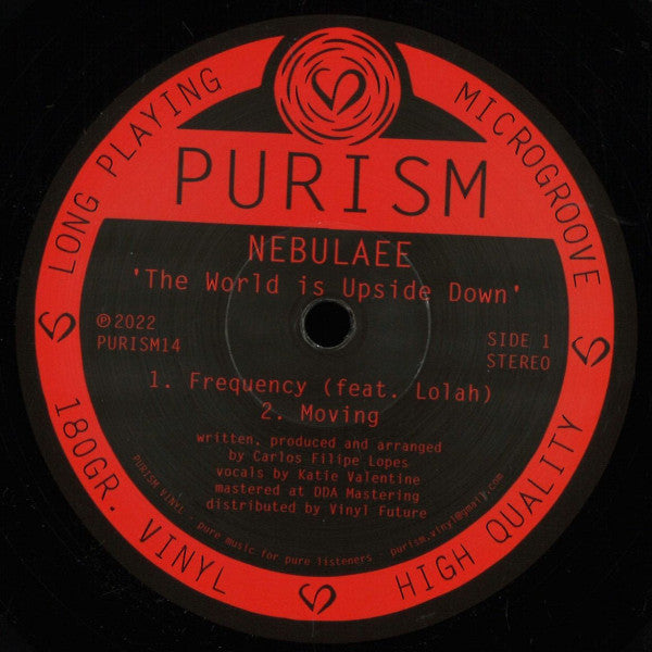 Nebulaee The World is Upside Down PURISM 12" Mint (M) Generic