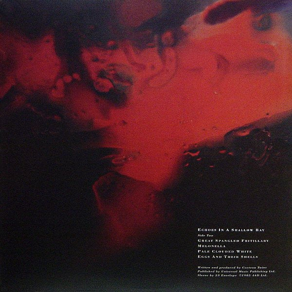 Cocteau Twins Tiny Dynamine / Echoes In A Shallow Bay LP Mint (M) Mint (M)