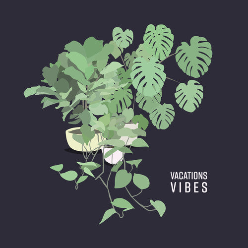 VACATIONS - VACATIONS VIBES (CD) NEW | NEW - NEW