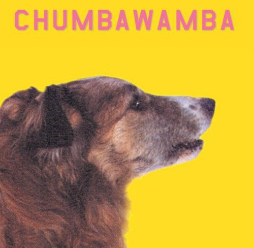 CHUMBAWAMBA - CHUMBAWAMBA WHAT YOU SEE IS WHAT YOU GET (CD) NEW | NEW - NEW