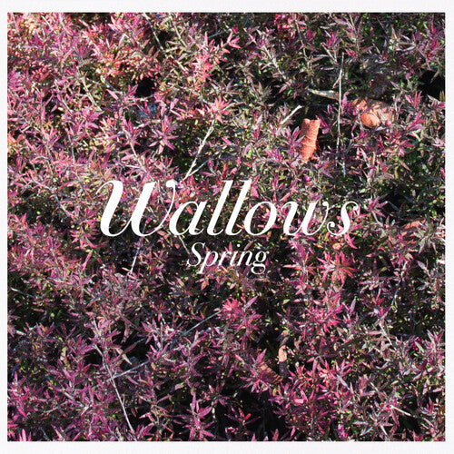 WALLOWS - WALLOWS SPRING (CD) NEW | NEW - NEW