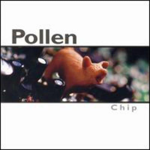 POLLEN - POLLEN CHIP (CD) NEW | NEW - NEW