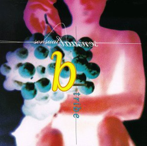 B-TRIBE - B-TRIBE SENSUAL SENSUAL (CD) NEW | NEW - NEW