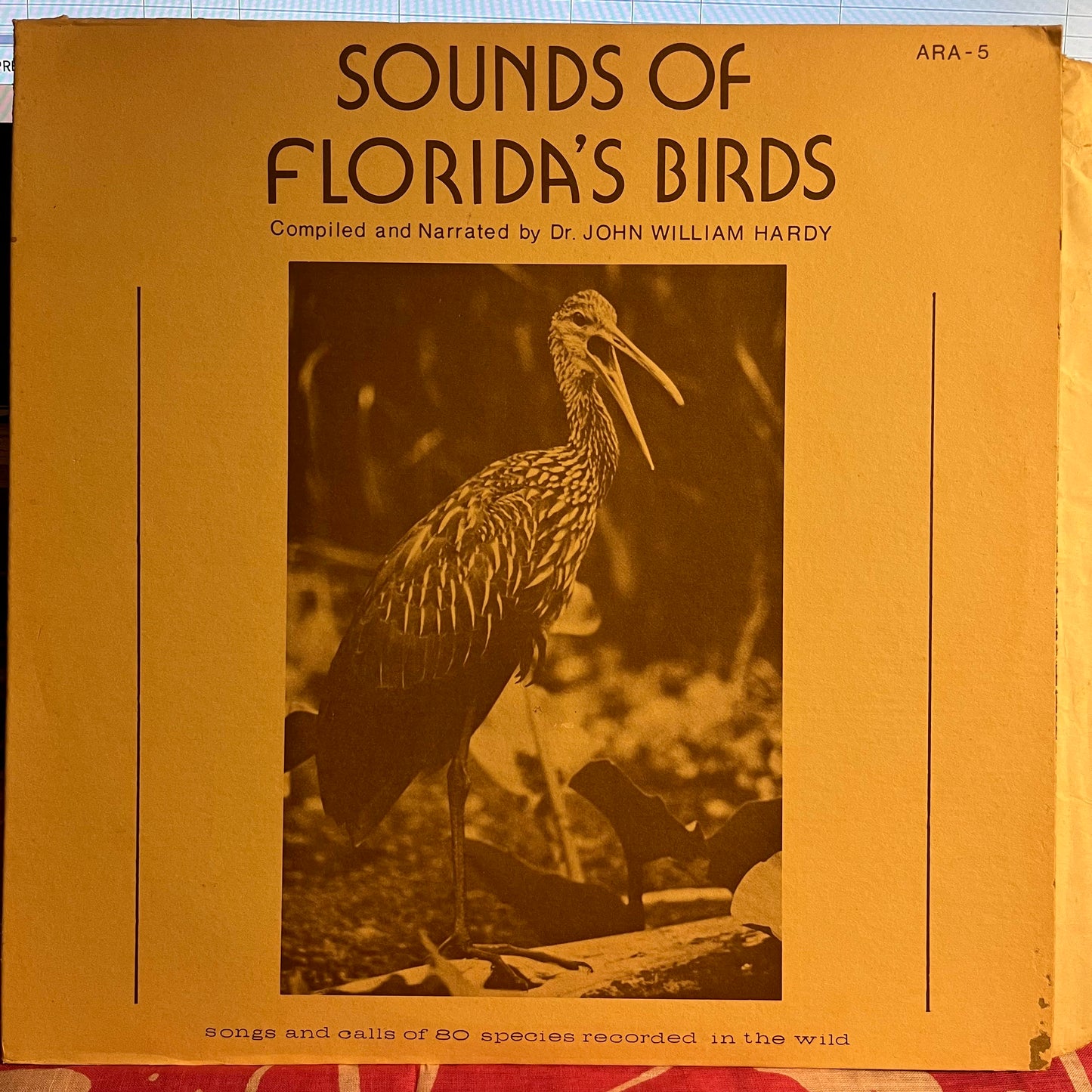 Sounds Of Florida's Birds | Very Good Plus (VG+) Excellent (EX)