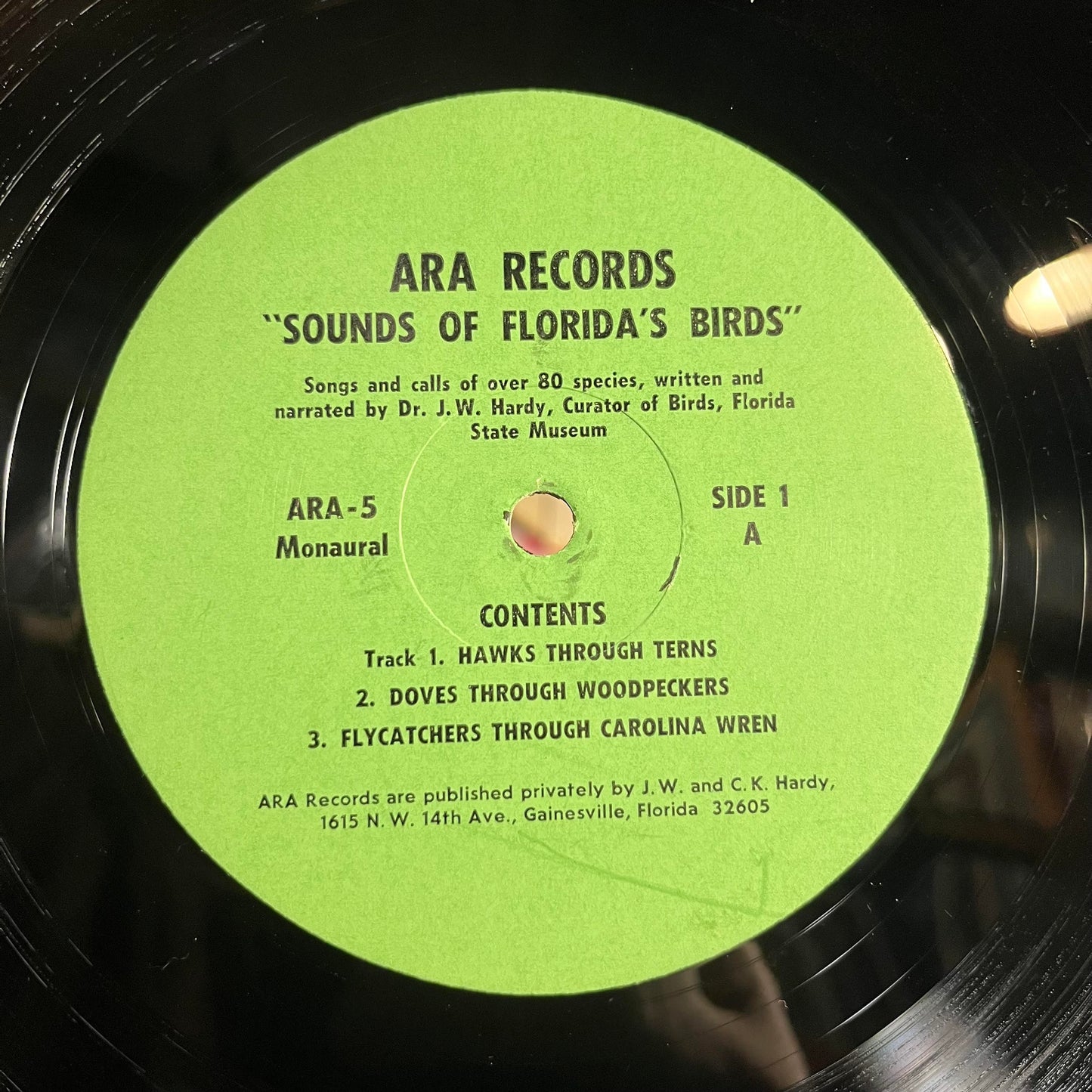 Sounds Of Florida's Birds | Very Good Plus (VG+) Excellent (EX)