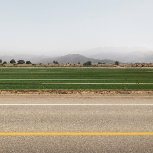 First Man in the Moon |