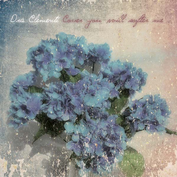 Cover you will softer me |