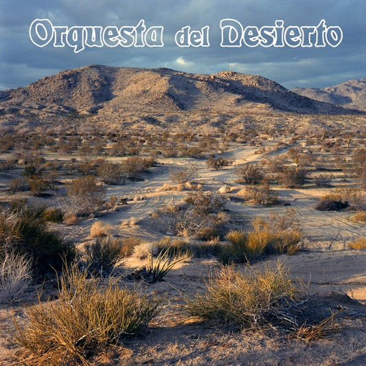 Orquesta Del Desierto |