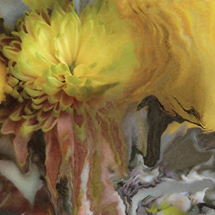 Wilderness Within You |