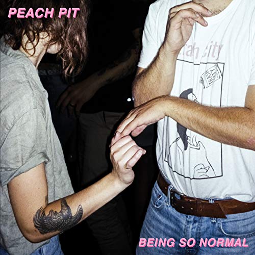 Being So Normal | Mint (M) Mint (M) - ALT/INDIE *SEALED*