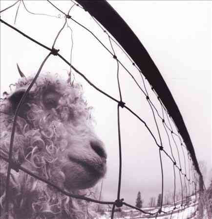 Vs. (180 GRAM VINYL) | Mint (M) Mint (M) - ALT/INDIE *SEALED*