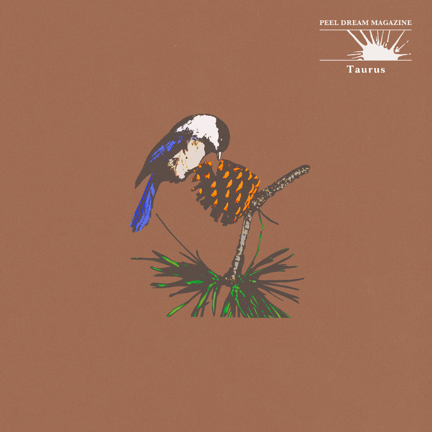 Taurus (Yellow Tinted Transparent Cassette) |