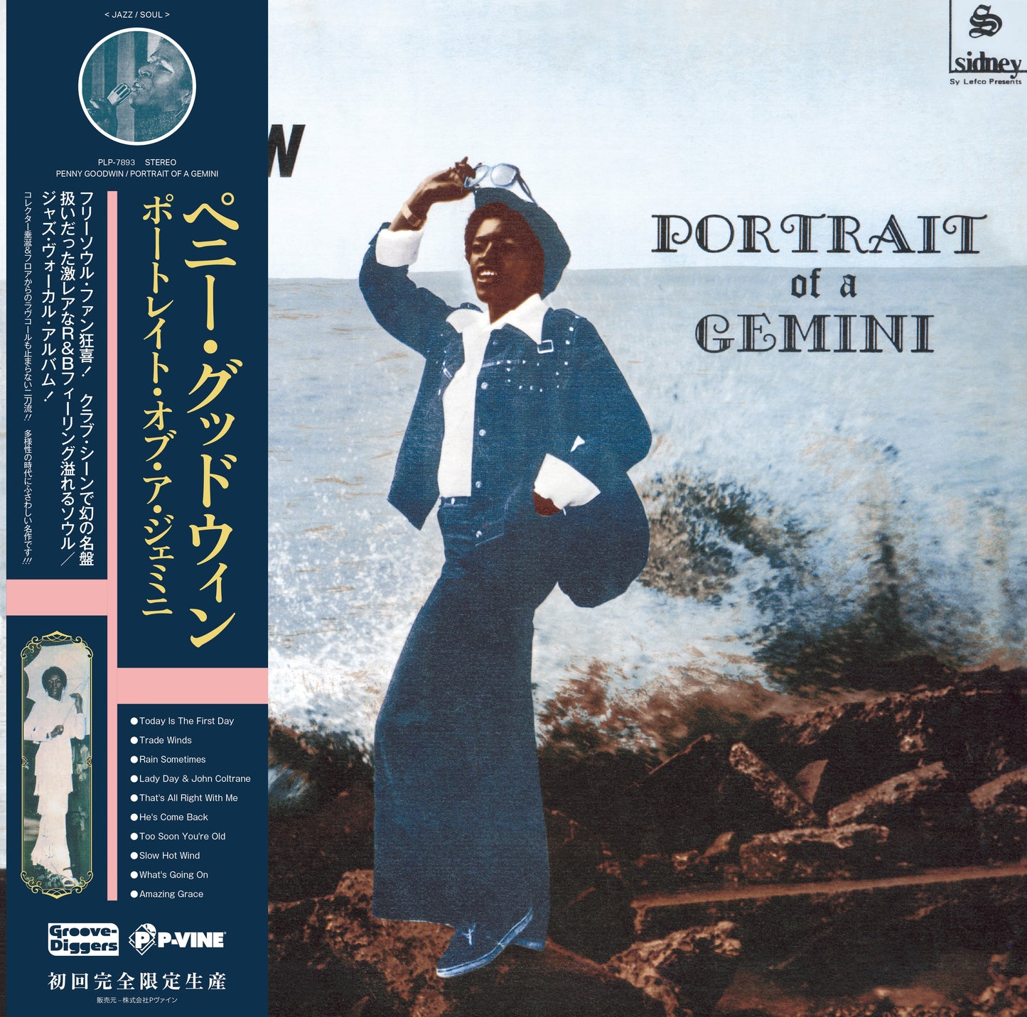 Penny Goodwin - Portrait Of A Gemini |