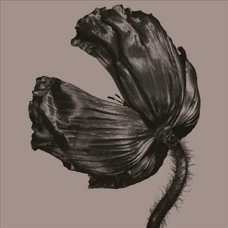 RELEASE (2017 REMASTERED VERSION) |