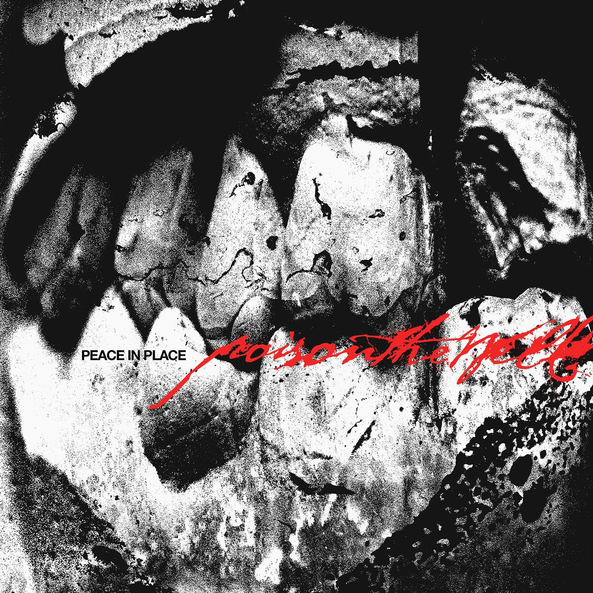 (PRE ORDER 3/20/26) Peace In Place (CLEAR VINYL) | - METAL *NEW/COLOR*