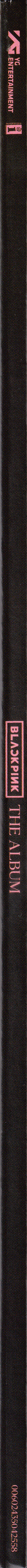 The Album (PINK) | Mint (M) Mint (M) - POP/K-POP *NEW/COLOR*