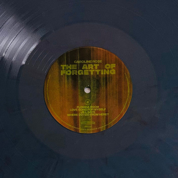 The Art of Forgetting (2xVINYL VMP) | Mint (M) Mint (M) - POP *NEW/COLOR*