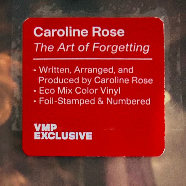 The Art of Forgetting (2xVINYL VMP) | Mint (M) Mint (M) - POP *NEW/COLOR*