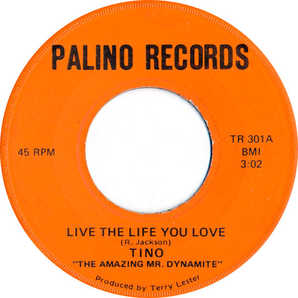 Live The Life You Live / Up Yours (7" VINYL) | Excellent (EX) Generic - POP / USED *EXCELLENT*