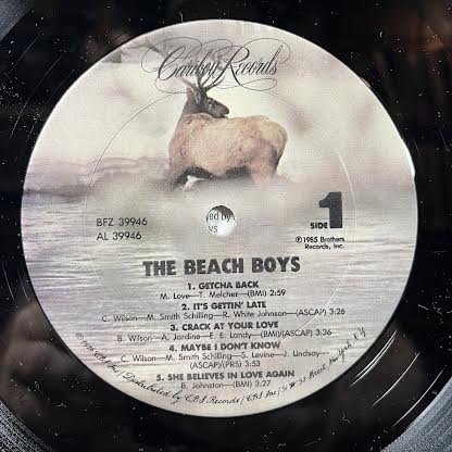 The Beach Boys (VINYL) | Near Mint (NM or M-) Near Mint (NM or M-) - POP / USED *NEAR MINT*