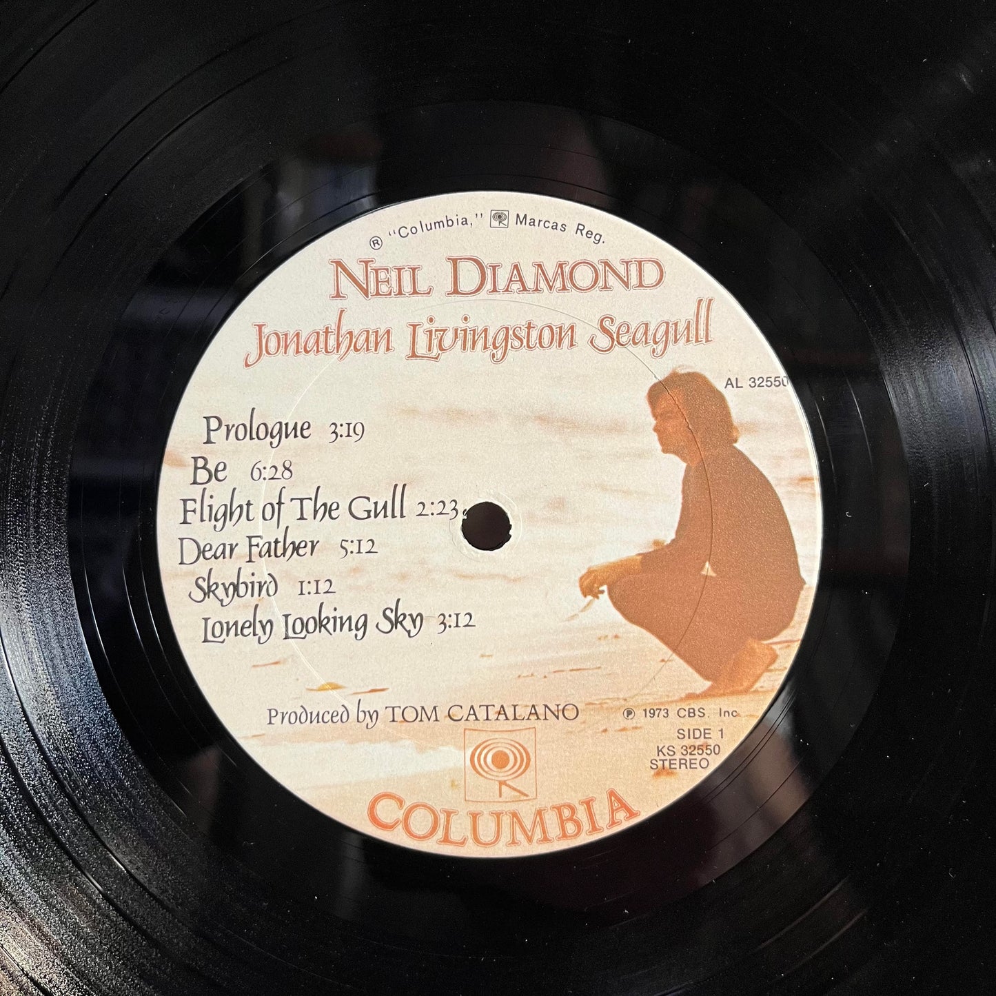 Jonathan Livingston Seagull (Original Motion Picture Sound Track) *PITMAN* | Near Mint (NM) Near Mint (NM)