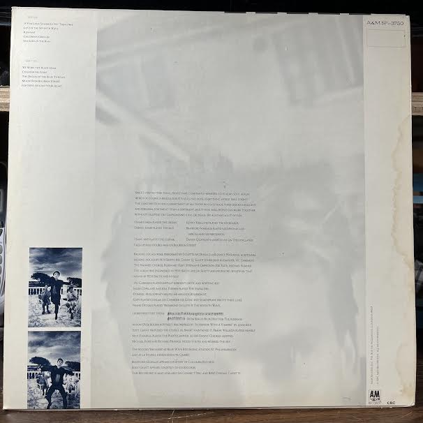 The Dream Of The Blue Turtles (VINYL) | Near Mint (NM or M-) Excellent (EX) - POP / USED *NEAR MINT*