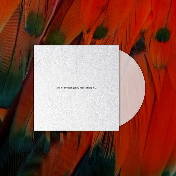 And the Bird Said: Cut Me Open and Sing Me | Mint (M) Mint (M)