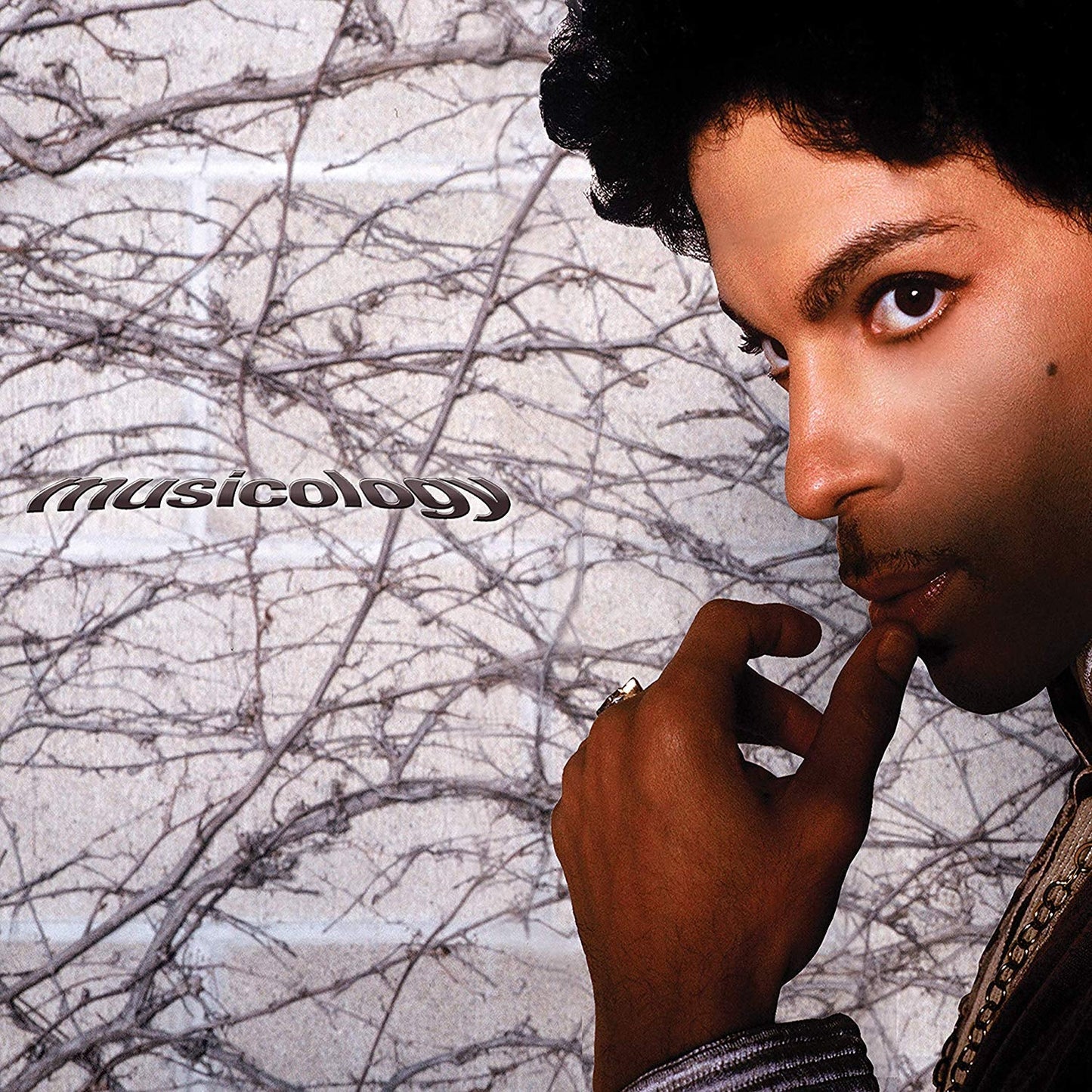Prince - Musicology |