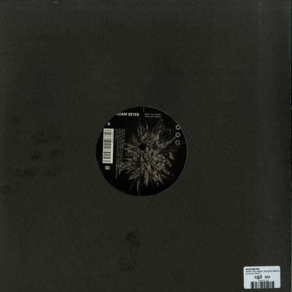 What You Need (Kölsch Remix)(VINYL) | Mint (M) Mint (M) - PROGRESSIVE *NEW*