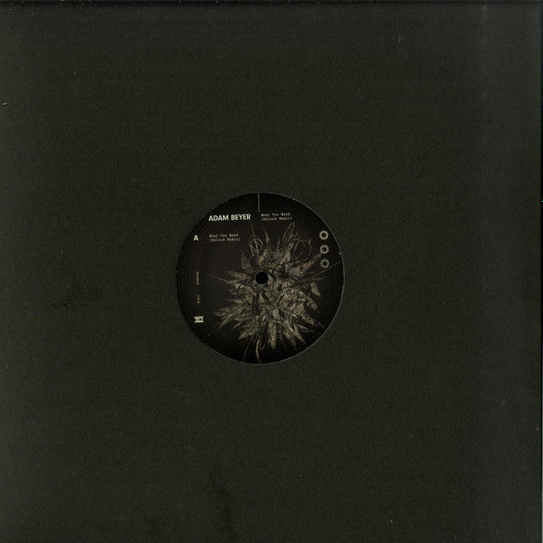 What You Need (Kölsch Remix)(VINYL) | Mint (M) Mint (M) - PROGRESSIVE *NEW*