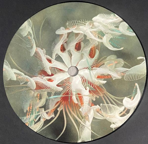 Dun Dun (VINYL) | Mint (M) Mint (M) - PROGRESSIVE *SEALED*