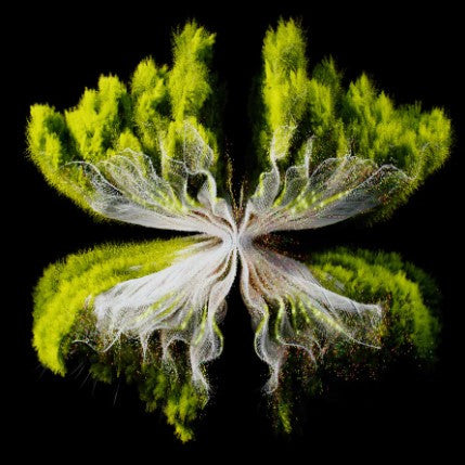 Along Came Polly (Konstantin Sibold, ZAC, CARMEE Remix)(VINYL) | Mint (M) Mint (M) - PROGRESSIVE *SEALED*