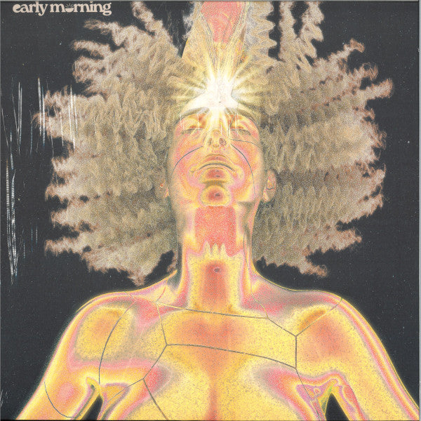 Forgotten (VINYL) | Mint (M) Mint (M) - PROGRESSIVE *SEALED*