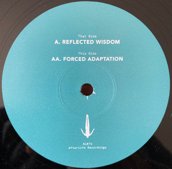 Five Phases - Reflected Wisdom | Mint (M) Mint (M)