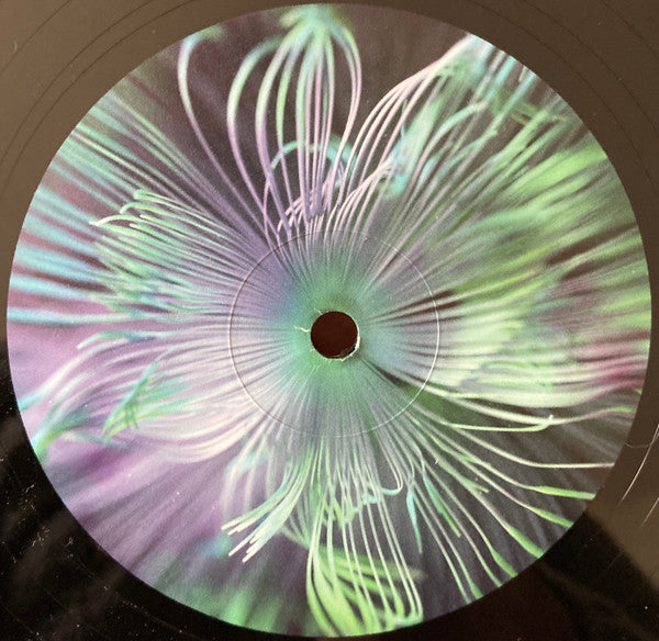 Five Phases - Reflected Wisdom | Mint (M) Mint (M)