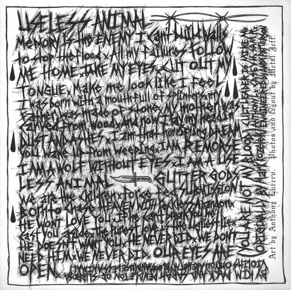 Useless Animal (7" VINYL) *TRANSPARENT GOLD* | Mint (M) Mint (M) - PUNK *NEW/COLOR*