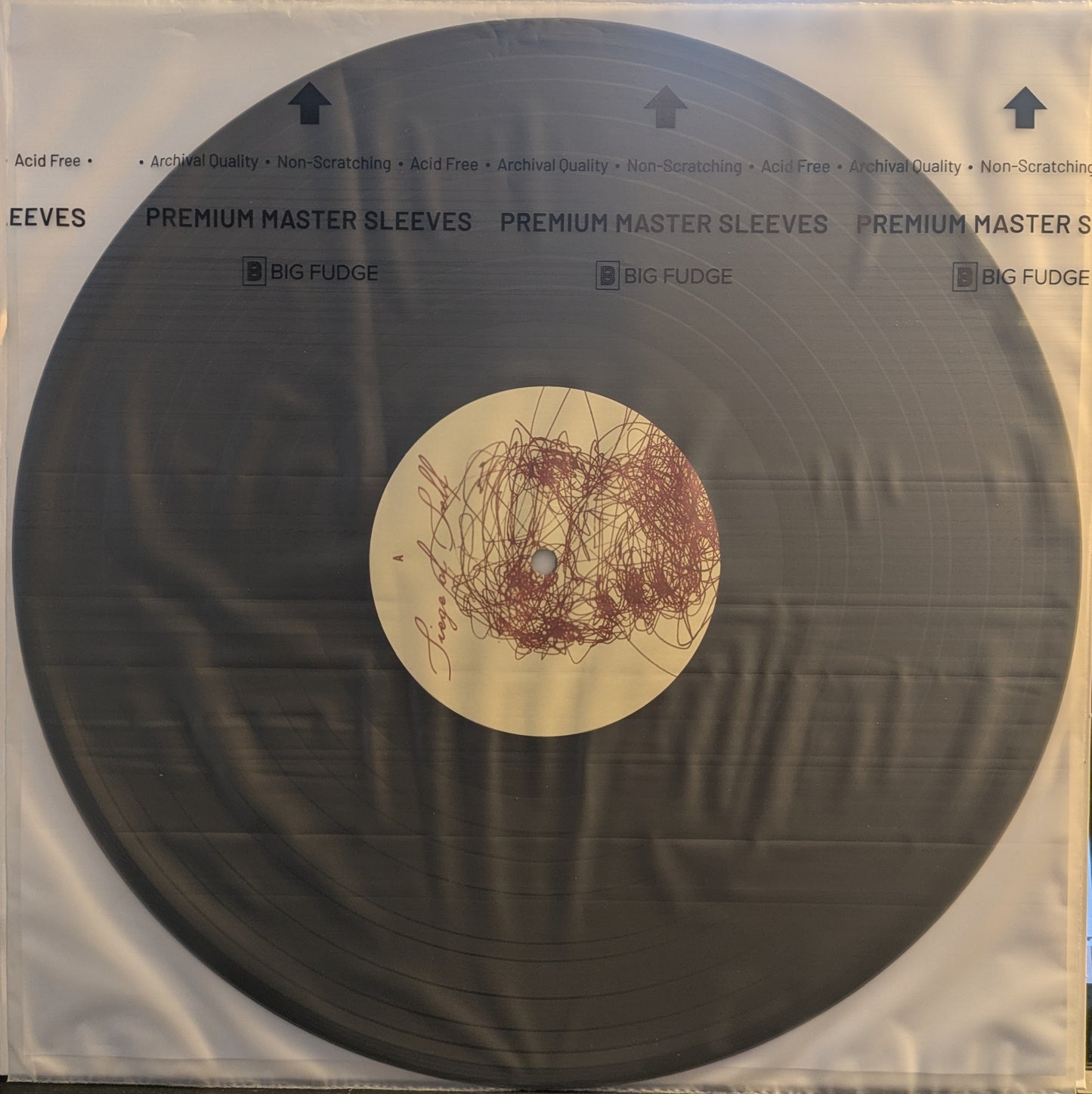 Siege Of Self (VINYL) | Near Mint (NM or M-) Mint (M) - PUNK / USED *NEAR MINT*