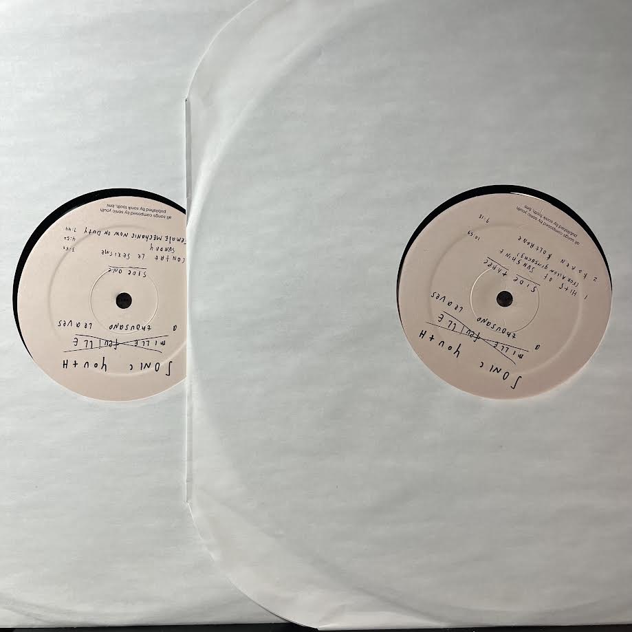 A Thousand Leaves (2xVINYL) | Near Mint (NM) Excellent (EX) - PUNK / USED *NEAR MINT*