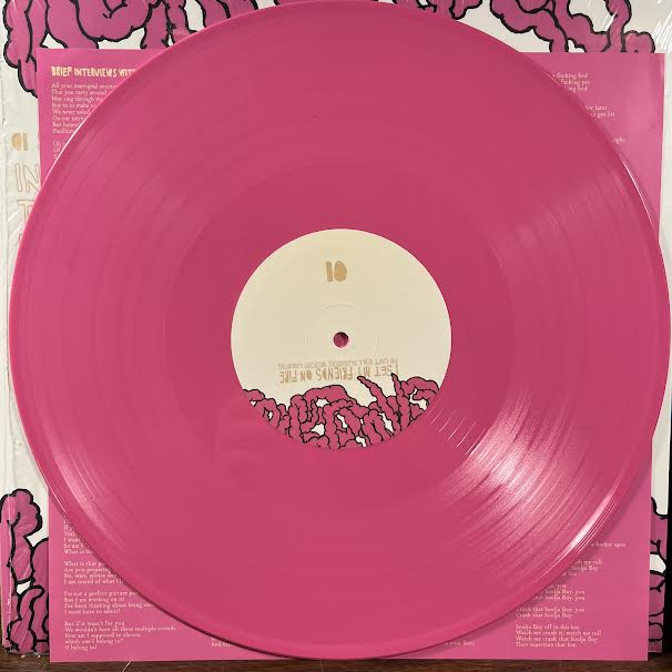 You Can't Spell Slaughter Without Laughter (PINK VINYL) | Near Mint (NM or M-) Mint (M) - PUNK / USED *NEAR MINT*