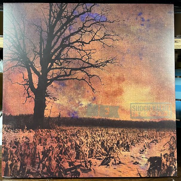 It's A Shame... / 3 Song Demo (GREY/BROWN SPLIT VINYL) | Near Mint (NM or M-) Near Mint (NM or M-) - PUNK / USED *NEAR MINT*