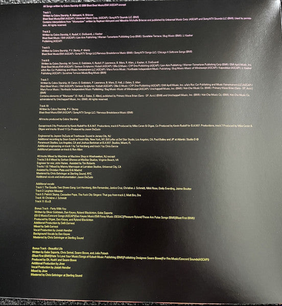 Hot Mess (SILVER VINYL) | Near Mint (NM or M-) Near Mint (NM or M-) - PUNK / USED *NEAR MINT*
