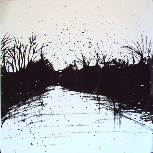 Hospice (VINYL) | Near Mint (NM or M-) Mint (M) - PUNK / USED *NEAR MINT*