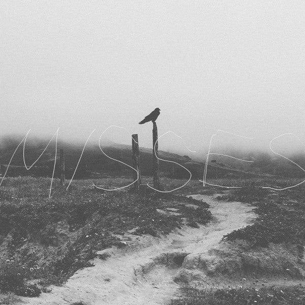 Misses (PURPLE/WHITE MARBLE VINYL) | Near Mint (NM or M-) Near Mint (NM or M-) - PUNK / USED *NEAR MINT*