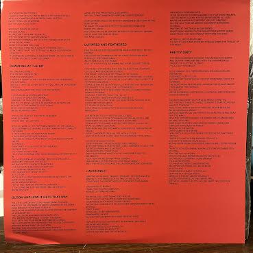 Gutter Phenomenon (PURPLE/BLACK VINYL) | Near Mint (NM or M-) Mint (M) - PUNK / USED *NEAR MINT*