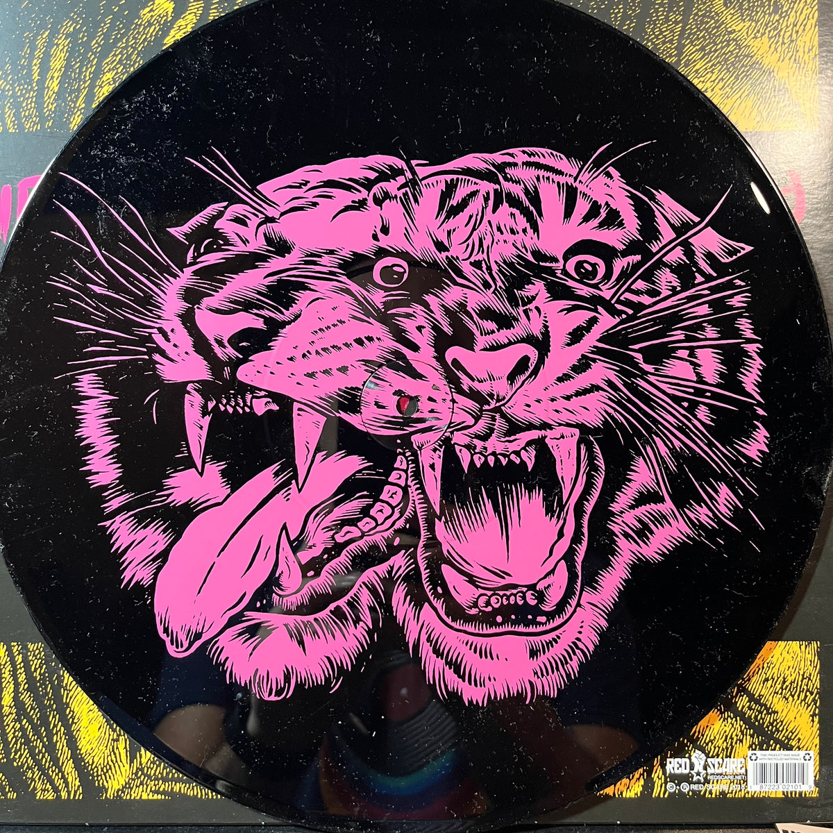 Red City Radio - Sky Tigers (VINYL LP) | USED Near Mint (NM or M-) Near Mint (NM or M-) PUNK