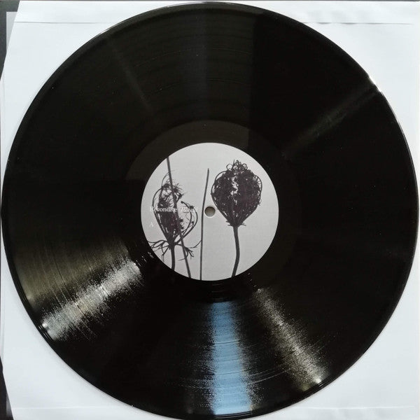 Placid | Mint (M) Near Mint (NM) - TECHNO *NEW*