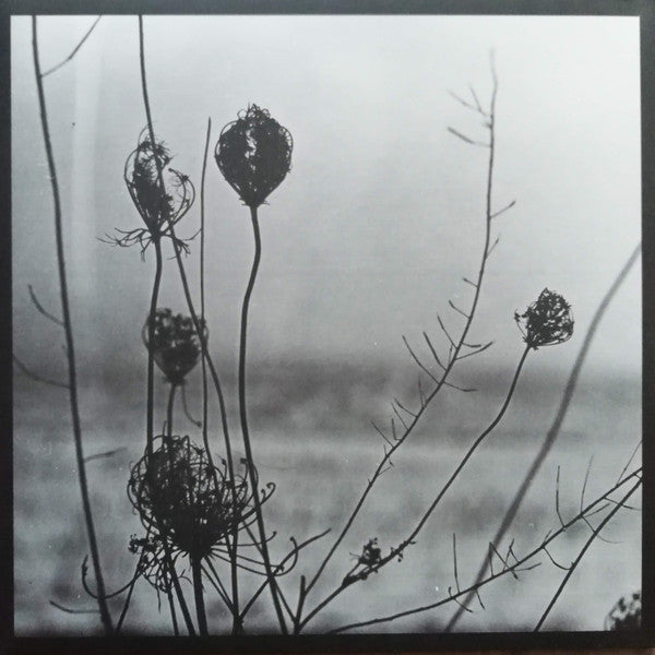 Placid | Mint (M) Near Mint (NM) - TECHNO *NEW*