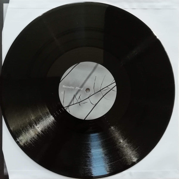 Placid | Mint (M) Near Mint (NM) - TECHNO *NEW*