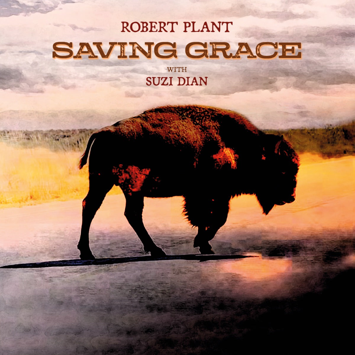 Saving Grace (Indie Exclusive) (Fruit Punch Vinyl) |