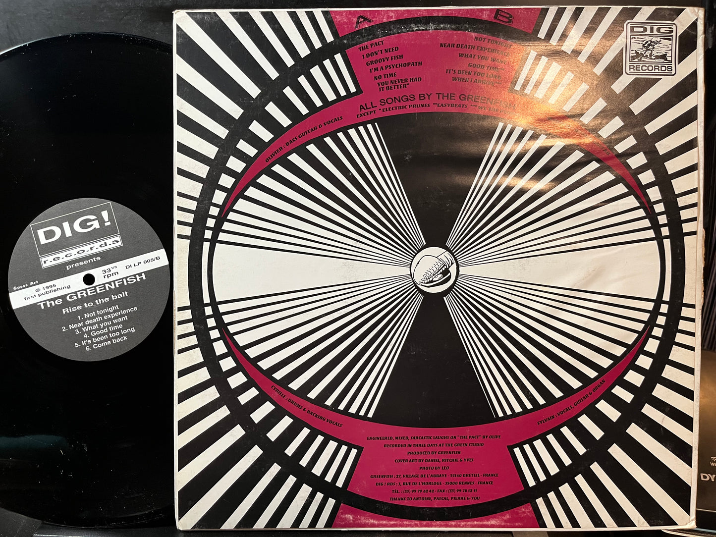 Greenfish - Rise To The Bait (VINYL LP) | Near Mint (NM or M-) Very Good Plus Plus (VG++) - ROCK/GARAGE / USED *NEAR MINT*